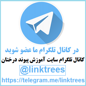 عضویت در کانال تلگرام سایت آموزش پیوند درختان | membership telegrams channels peyvand peivand grafting link trees | سایت آموزش پیوند درختان www.LinkTrees.ir