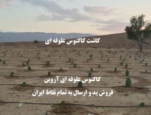 cactus-good-choice-fodder-shortages-country-iran-tunisia-store-cactos